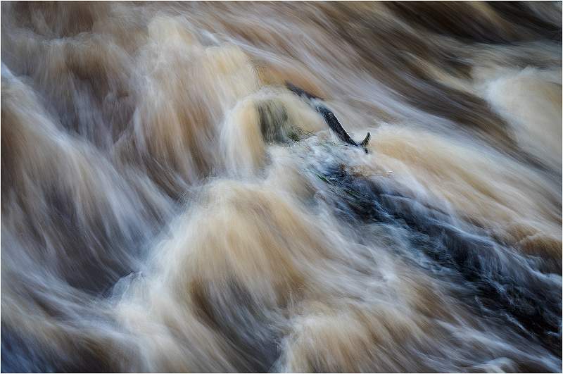 Rushing Water Past tree Branch_Barry Freeman.jpg